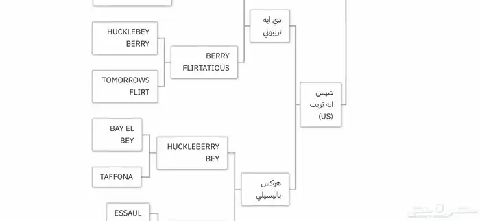 خيل عربي اصيل اوراق جمال 4