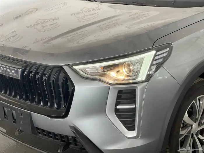 هافال جوليان ستاندر 2026 4