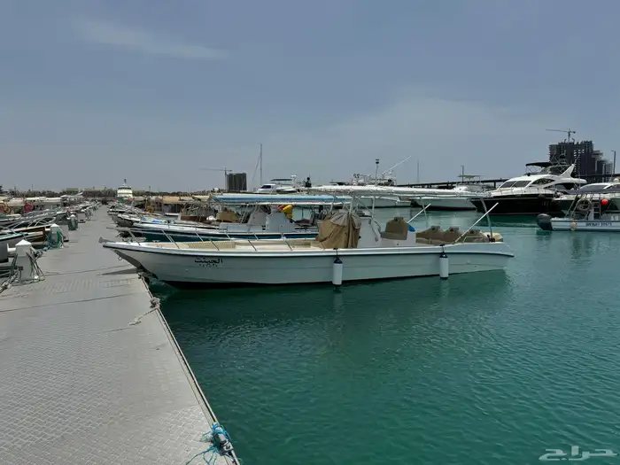 رحلات صيد جلب جيجينج سباحه فرديه بالشخص 0