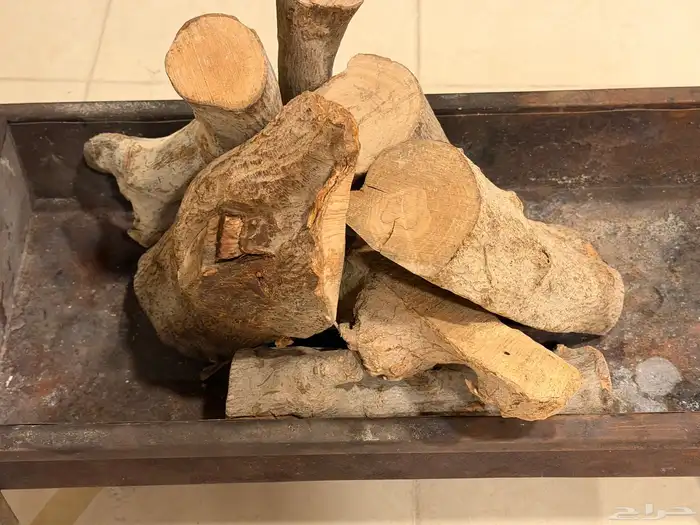 حطب زيتون افريقي مستورد 1