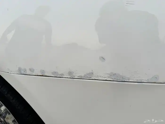 Dodge Charger 2007 SXT 13