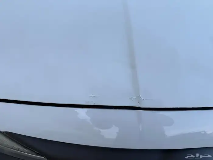 الالنترا 2020 22