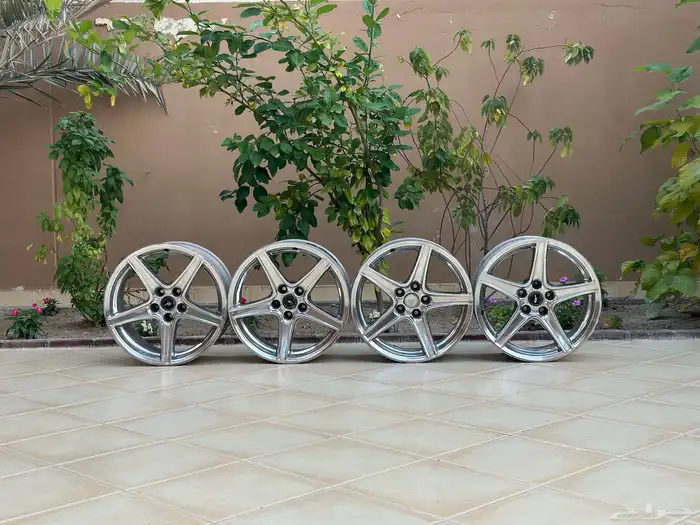 موستنج سالين 0