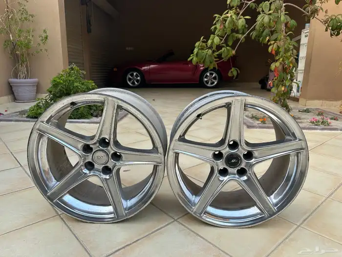 موستنج سالين 2