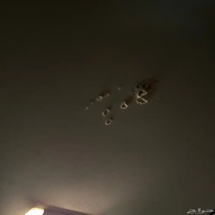 اكس تريل 2023 7