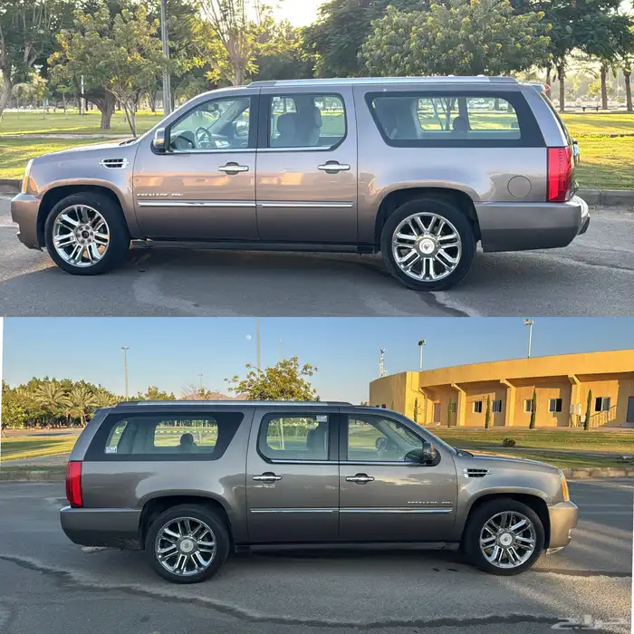 اسكاليد طويل سعودي 2012 1