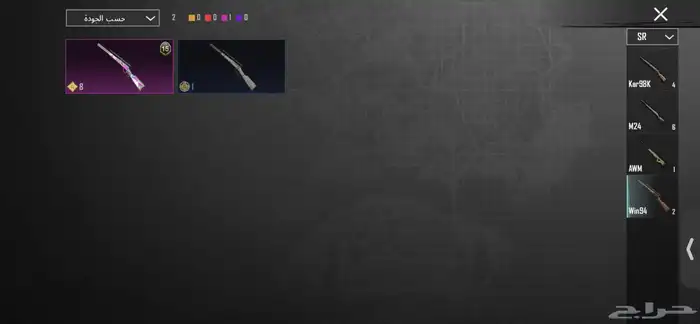 حساب ببجي نادر 29