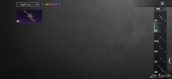 حساب ببجي نادر 31