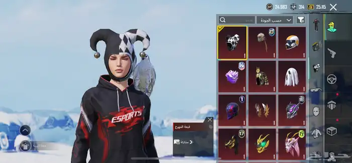 حساب ببجي العالمية 17