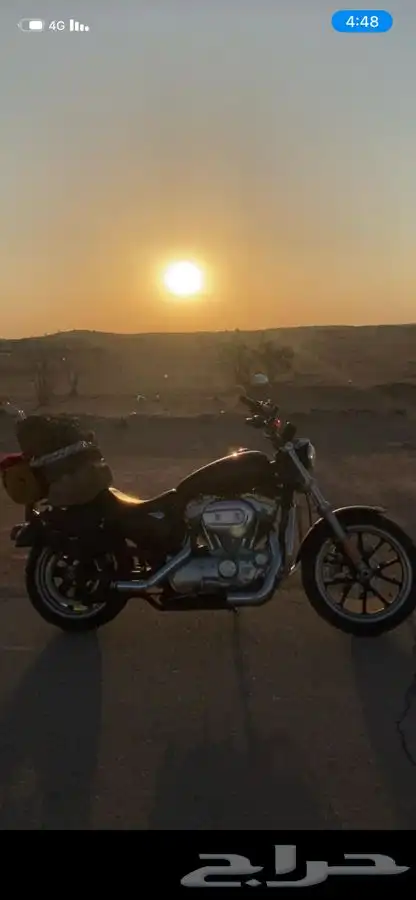 سبوستر شرط وممشى قليل 4