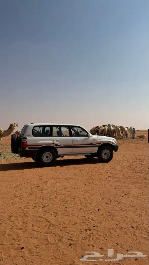 لاندكروزر 98 دفلوك قير عادي 1