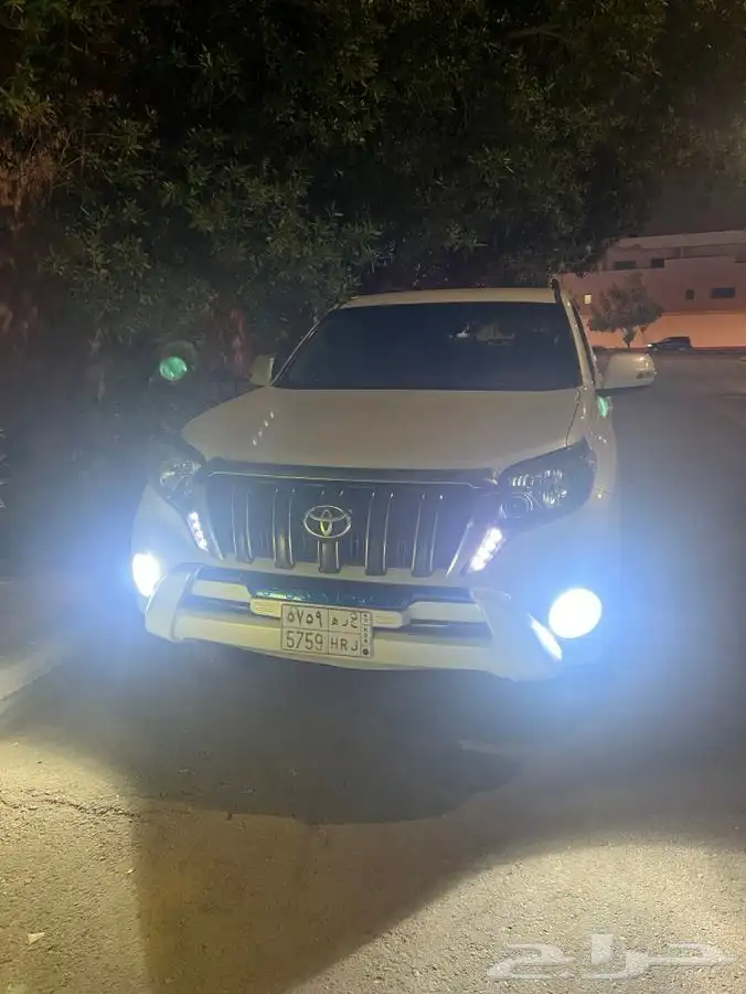 إلى عشاق النظيف والمشي القليل 17