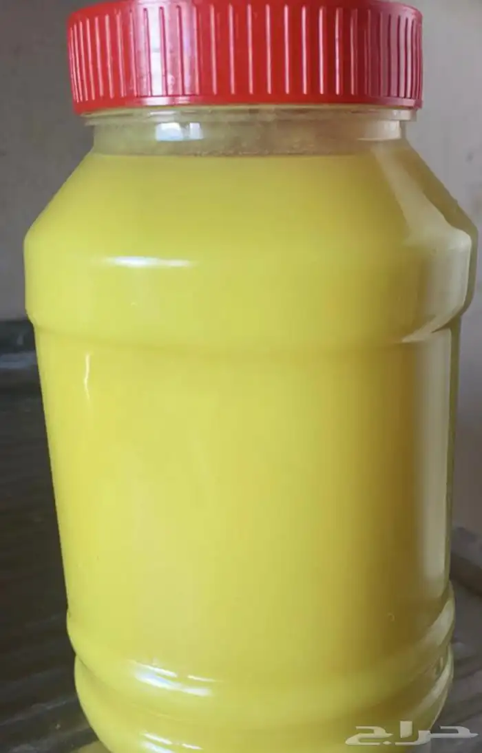 سمن غنم نعيم عرض ب 80 لايفوتكم 1