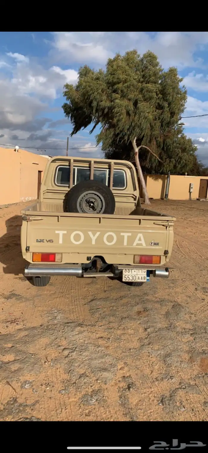 شاص غمارتين 2016 1