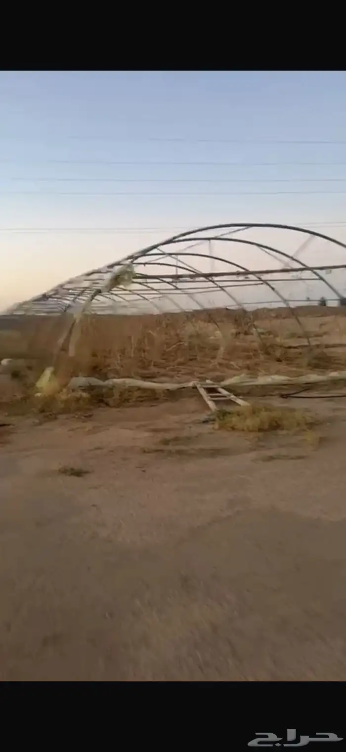 بيوت محمي مجلفن 1