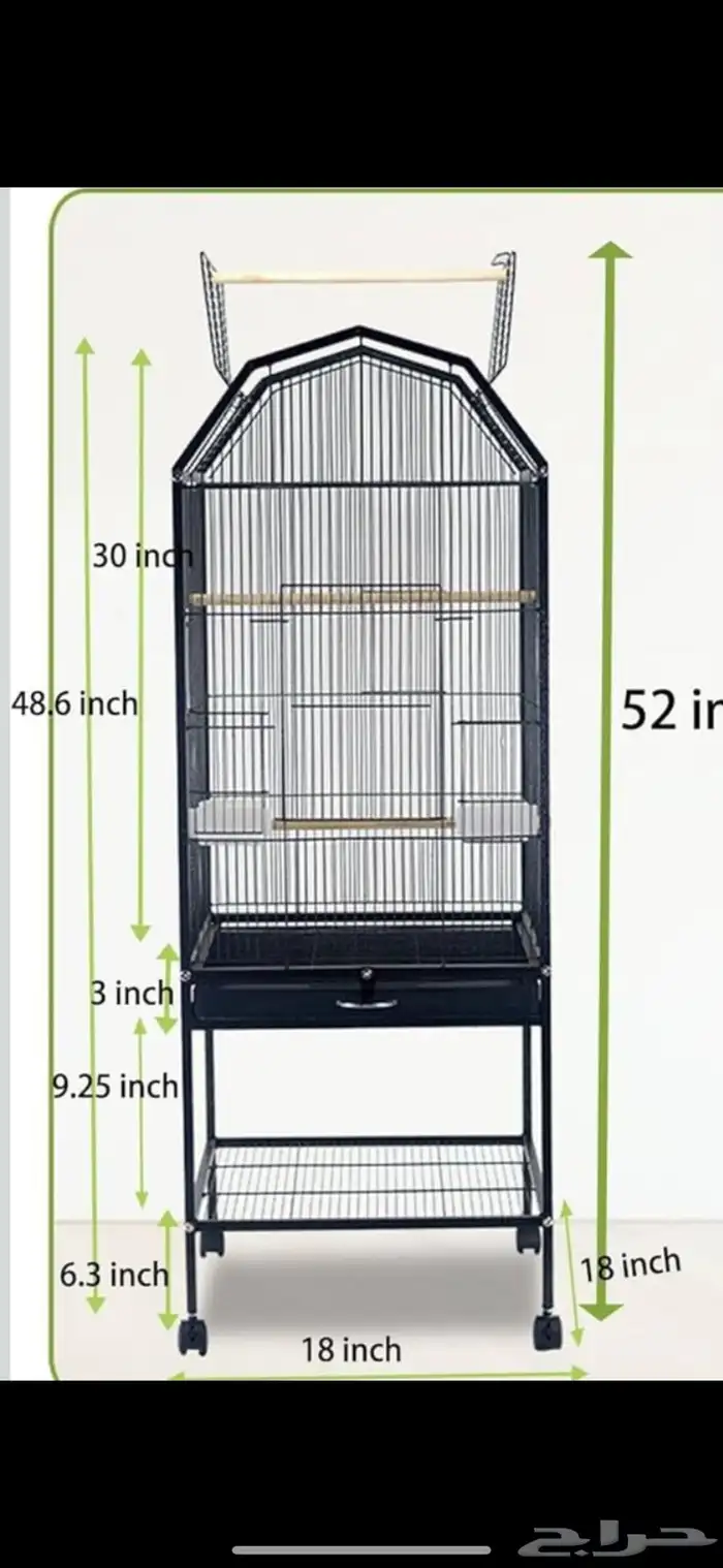 كنيور اناناس اليف مع قفص كبير 2