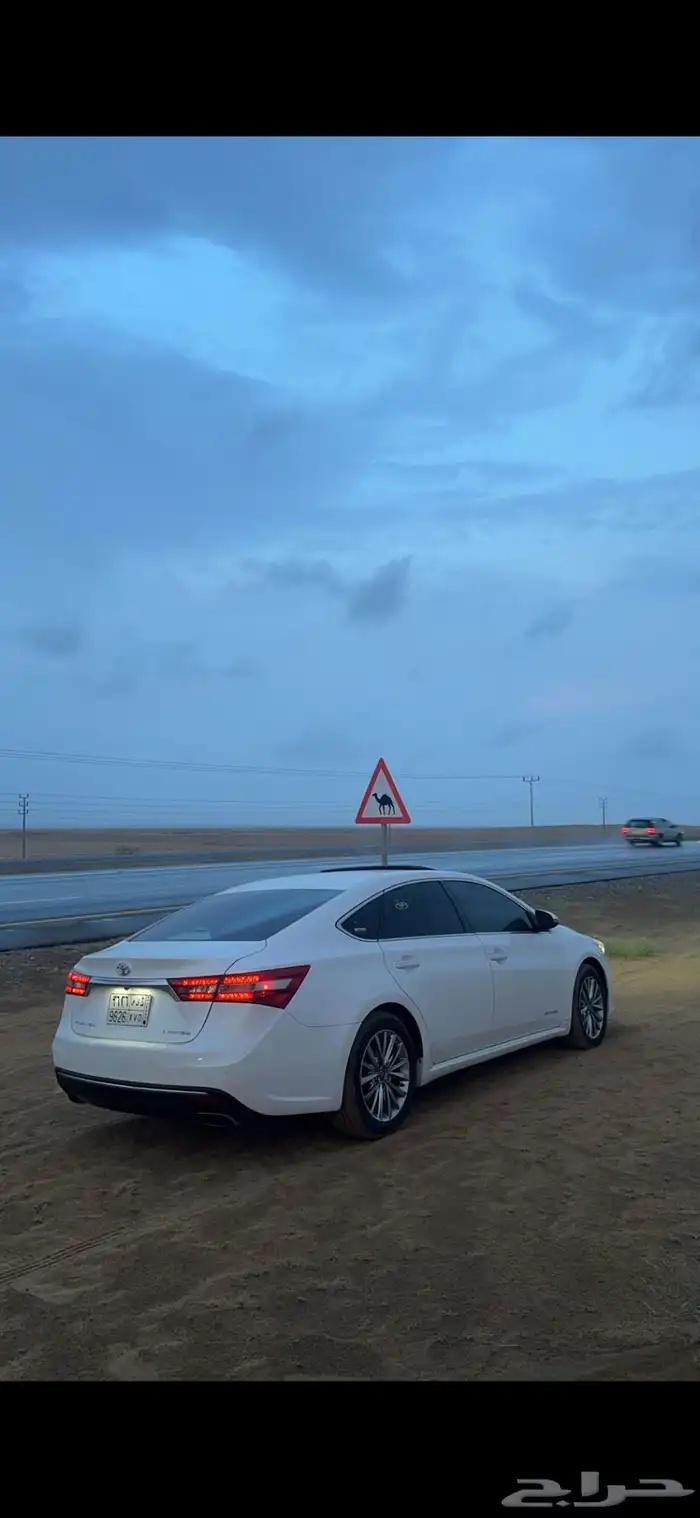 افالون ليمتد 2016 5