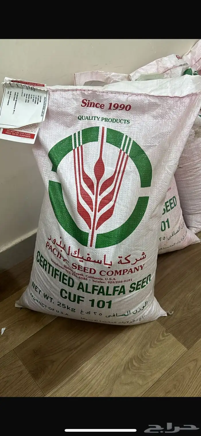 بذور برسيم كاف 101 0