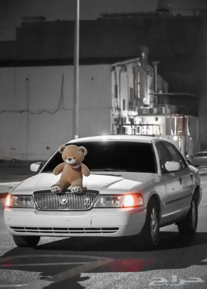 كاميرا نيكون D5600 4