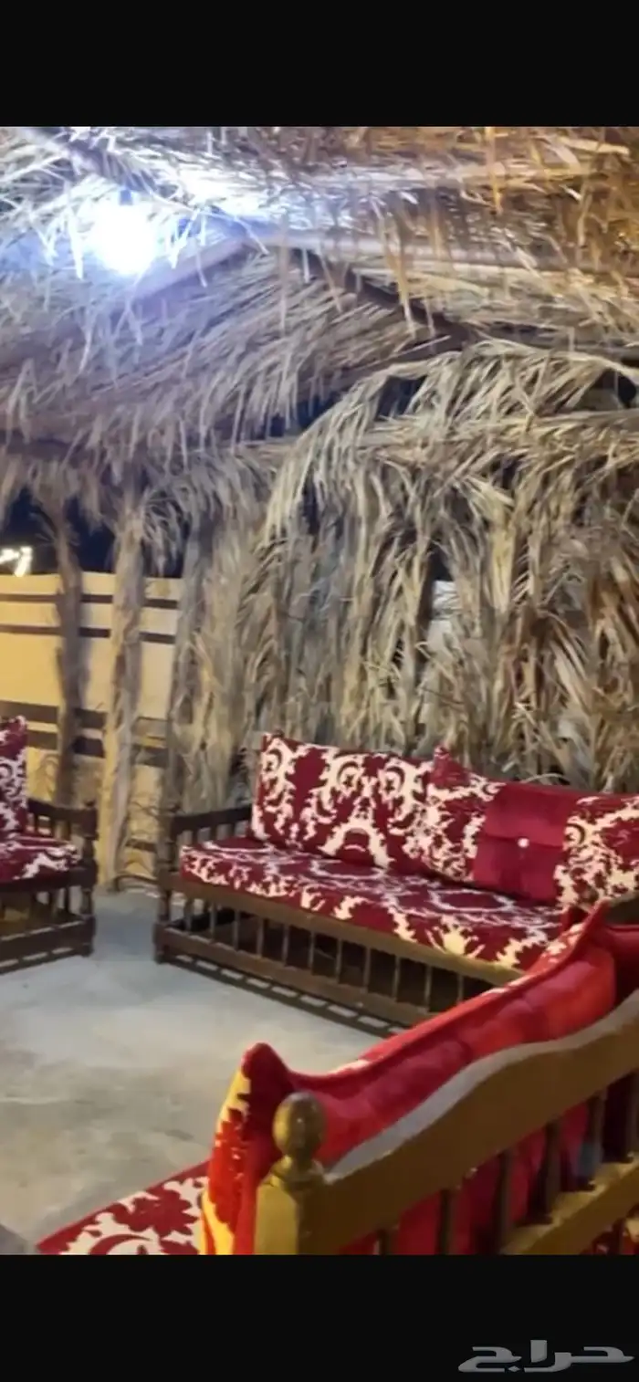 مخيم الوتين للاجار اليومي 9