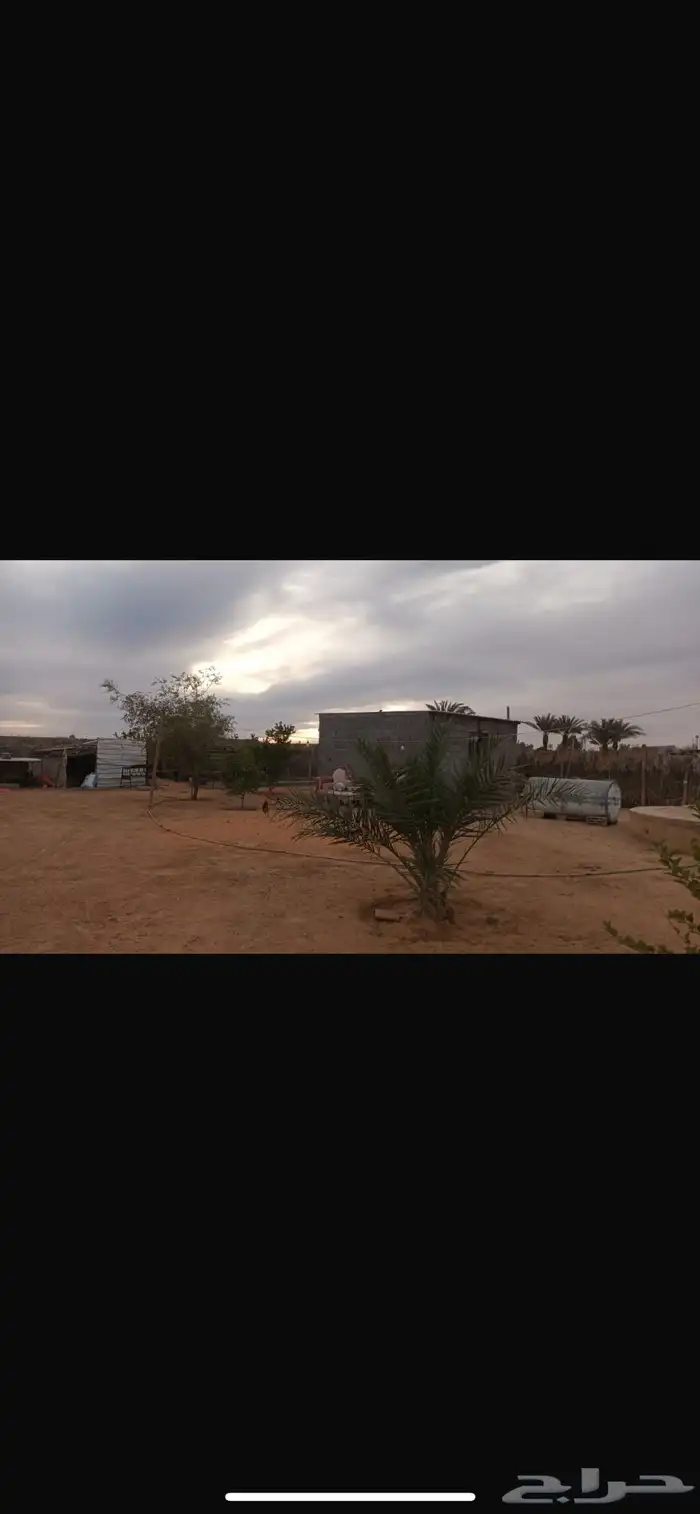 مريفق استراحه للايجار 1