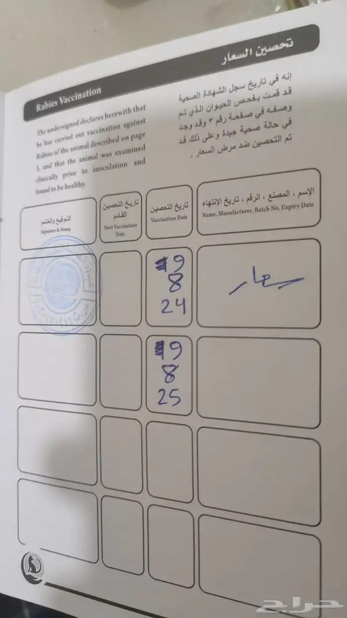 كلب بكنيز انثى سنه ونصف اليفه جدا وماخذه كل التطعيمات 8