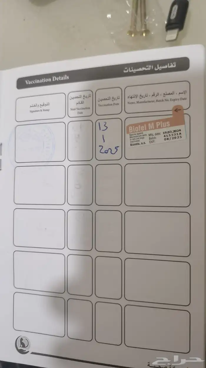 كلب بكنيز انثى سنه ونصف اليفه جدا وماخذه كل التطعيمات 12