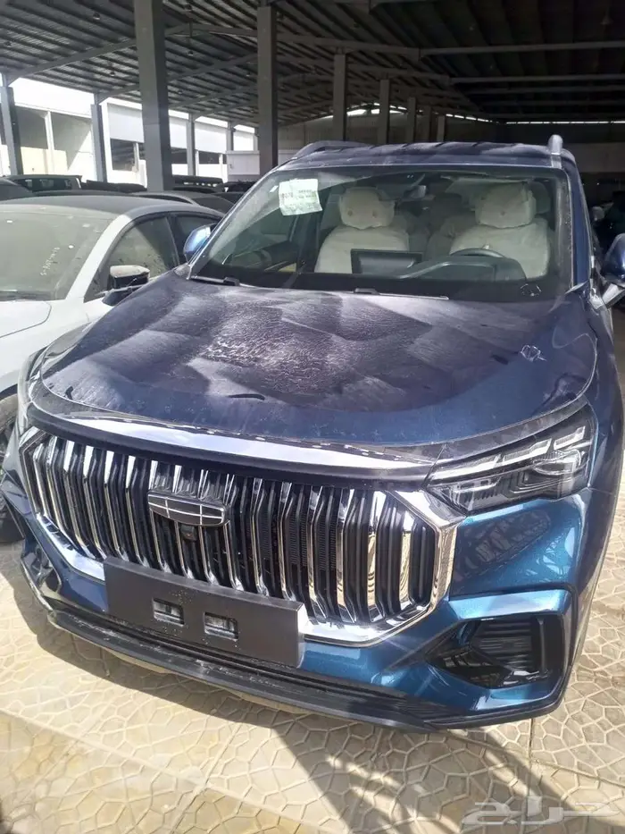 جيلي اوكافانجو 2025 1