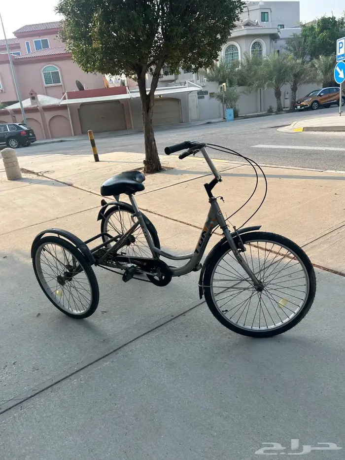 الظهر حي الدانه 0