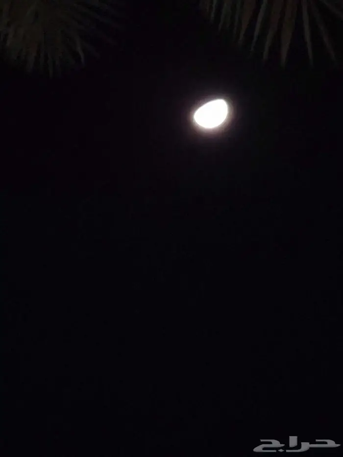 سياره النترا 2013 وفوق 0