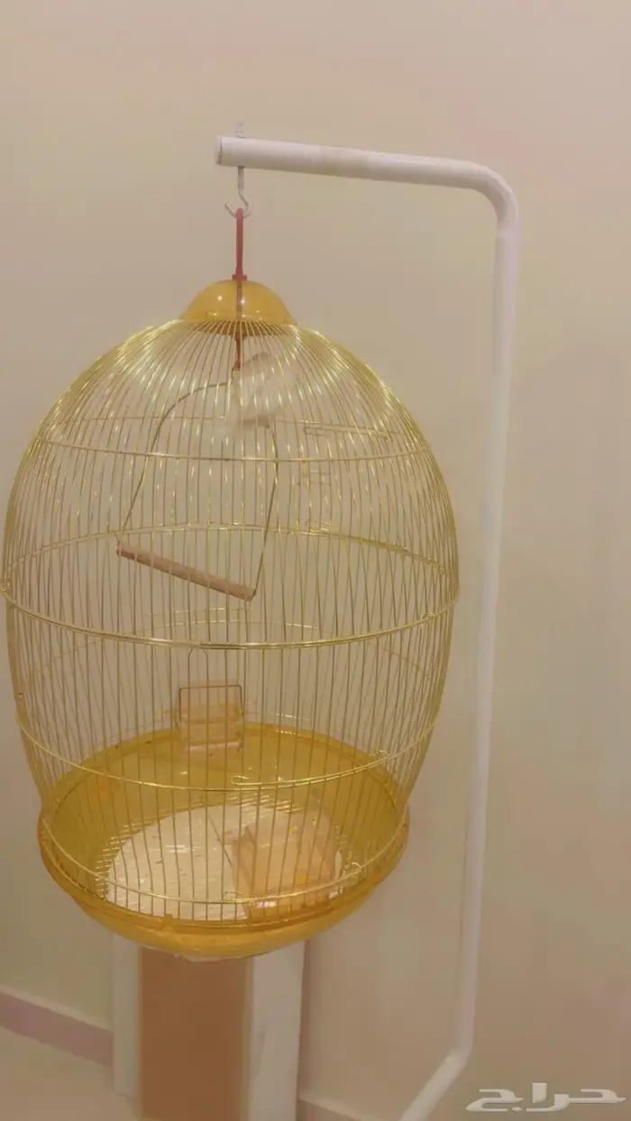 للبيع استاند مع قفص الطيور الزينه بدايه سوم 50 ريالا 1