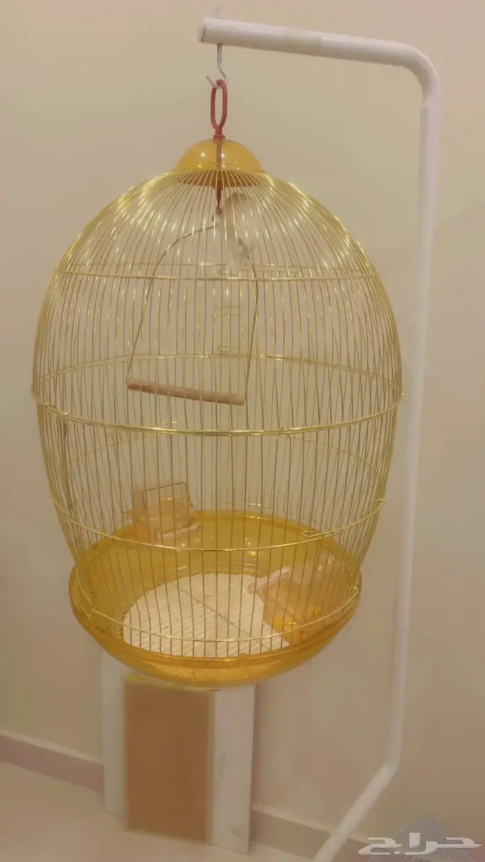 للبيع استاند مع قفص الطيور الزينه بدايه سوم 50 ريالا 0