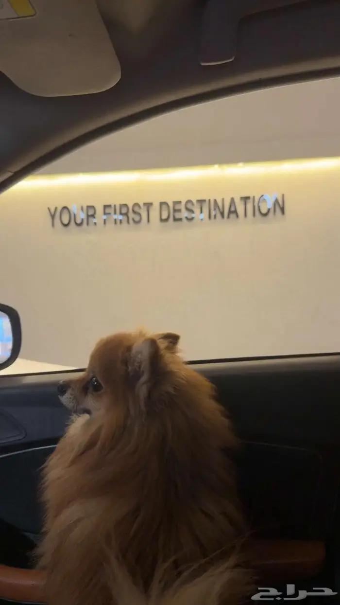 ذكر بومرينيان 1