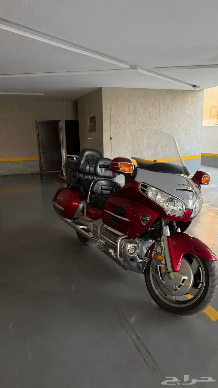 قولد وينج 2004 0