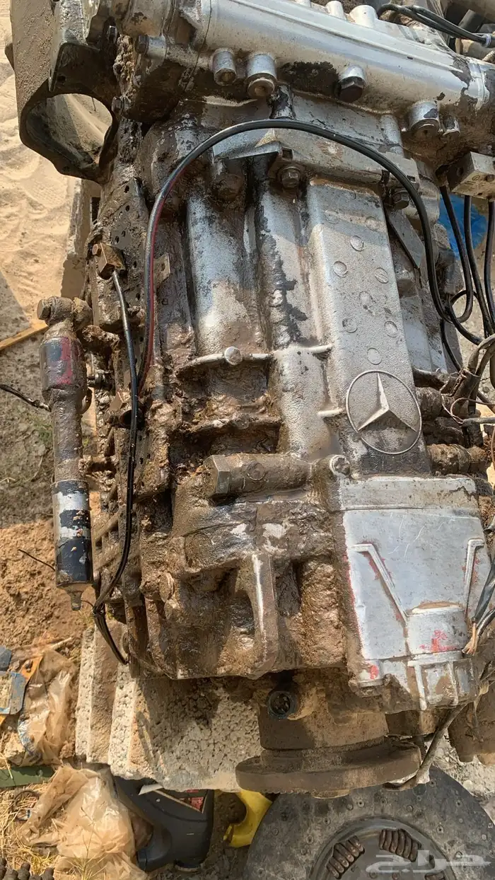 قيد الأبي  شغال بس فيه نمرتين 0