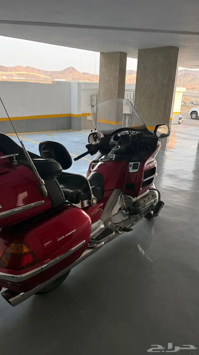 قولد وينج 2004 9