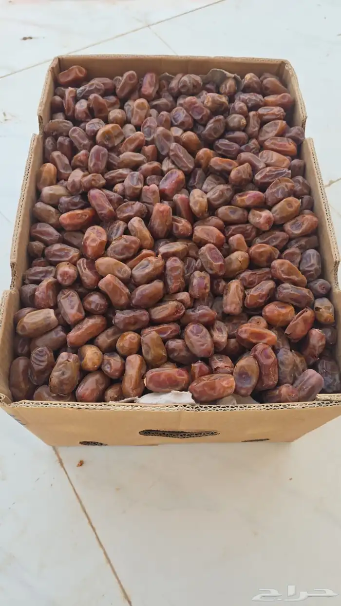 تمر سري الكميه 2000كرتون موز 1