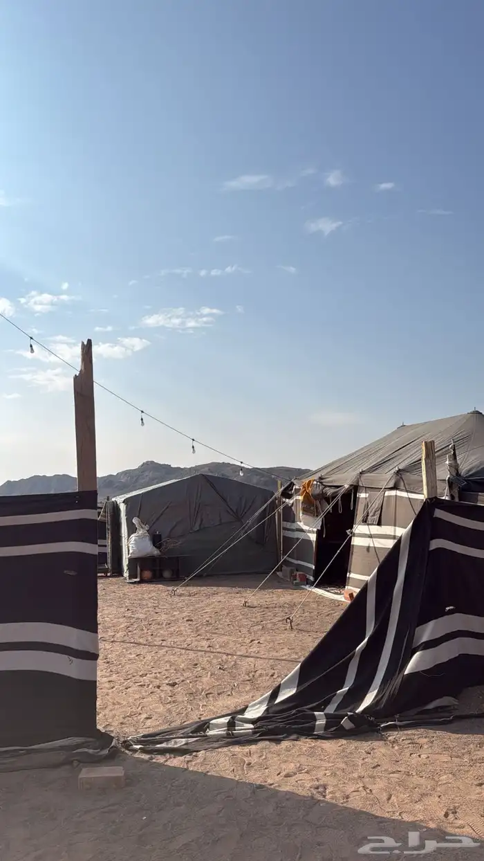 مخيم للاجار مكون من خيمه 6 4 ومطبخ وحوش بروق وفيه اضافت 0