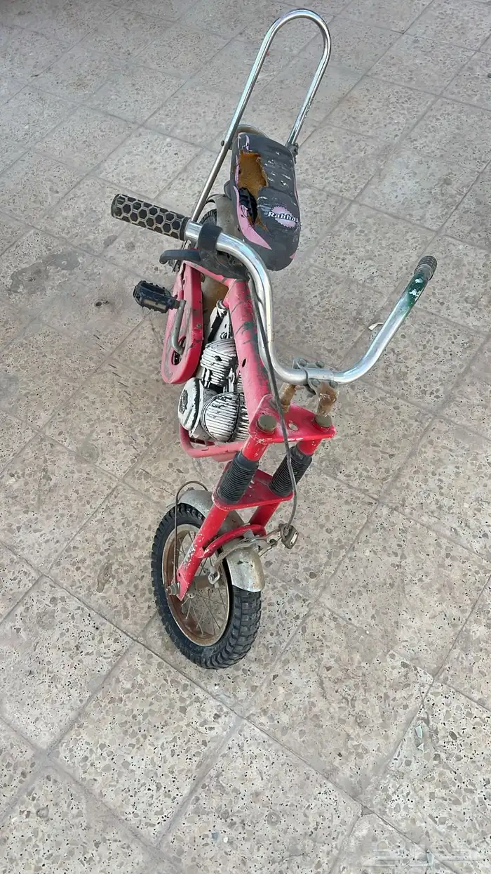 سيكل صغر 4 السعر 50  الحبه. سيكل كبير واحد حبه300 السعر ا 18