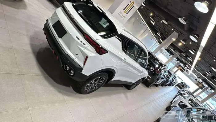 جيلي كولراي استندر 2025 لون ابيض 6