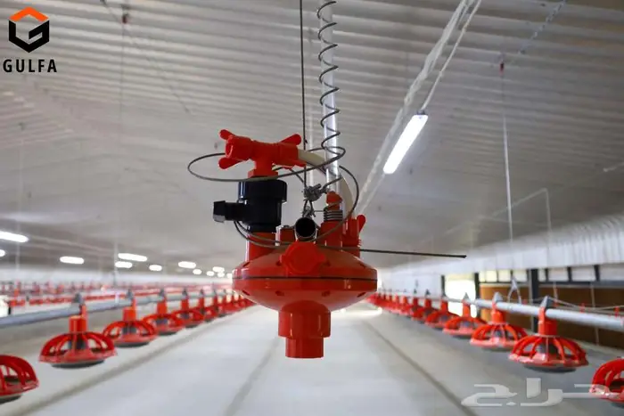 حظائر ومعدات دواجن 2