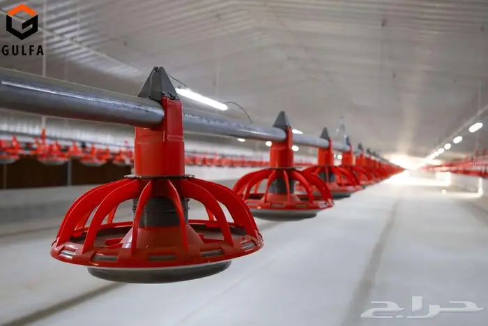 حظائر ومعدات دواجن 3