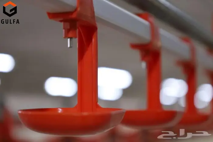 حظائر ومعدات دواجن 4