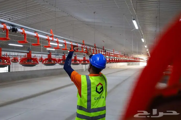 حظائر ومعدات دواجن 11