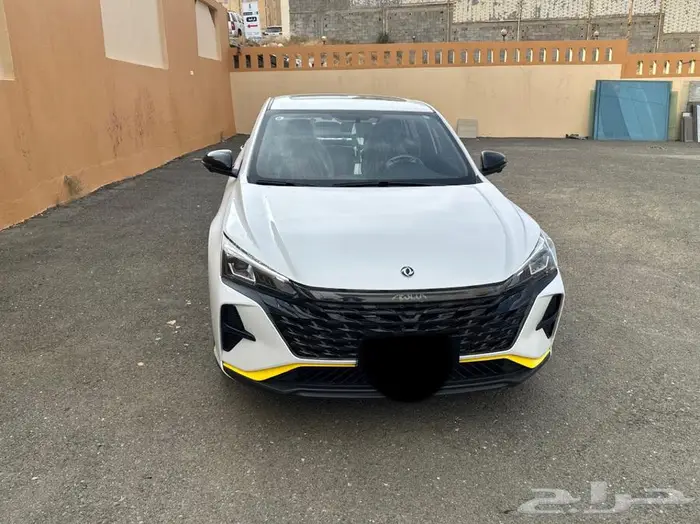 دونج فينج 2024 0