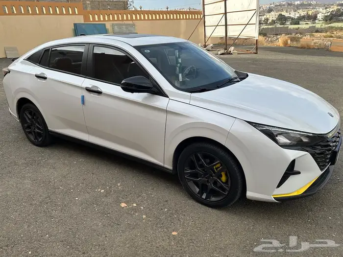 دونج فينج 2024 4