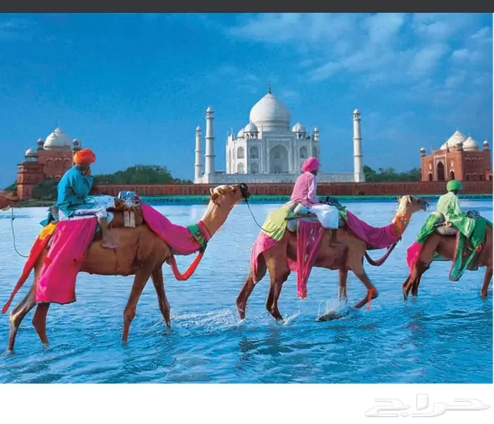 الهند - خدمات رحلات سياحية   برامج علاجية   عطلات مميزة 8