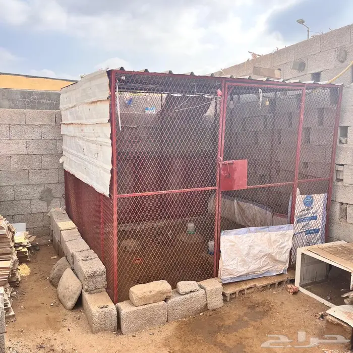 قفص دجاج 2