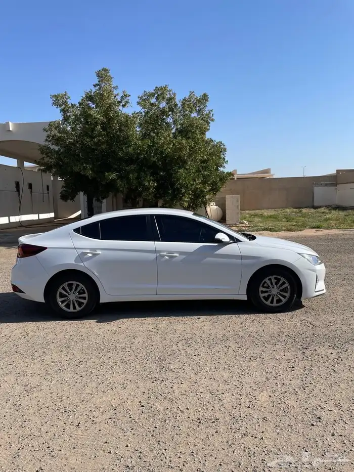 النترا ديزل ( افانتي ) 2019 4