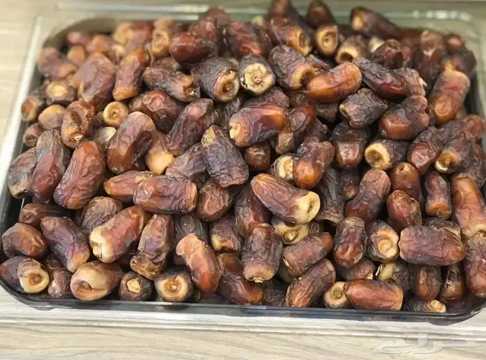 تمر برني المدينة مكبوس حق الموسم  كمية كبيره 1